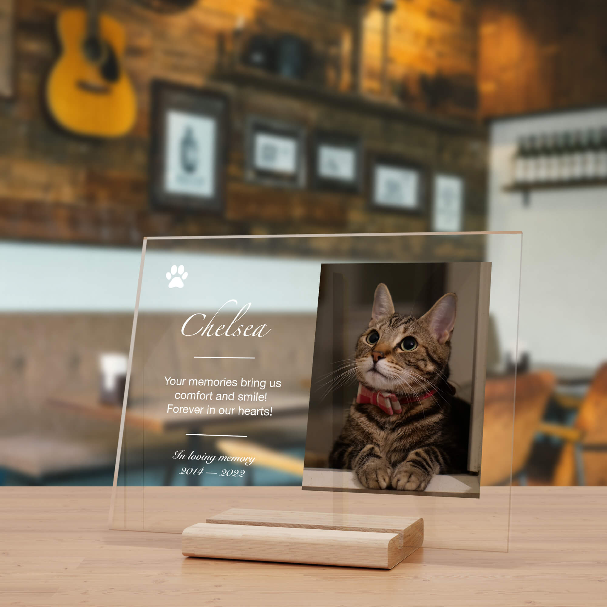 Pet Memorial Custom Portrait Acrylic Plaque Gift